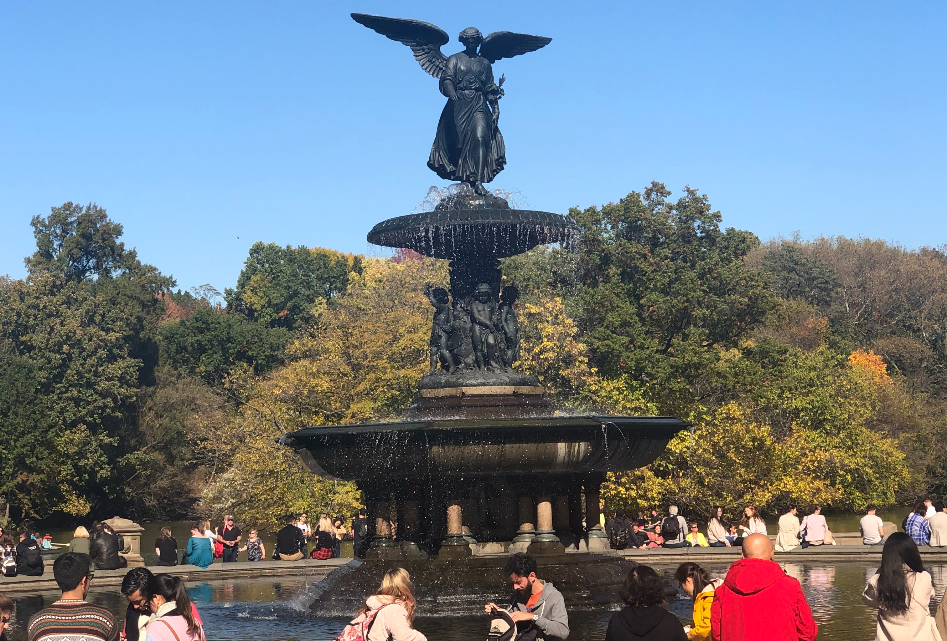 D0FADF00-41A2-4FE7-8EF5-AFBAD2C75640